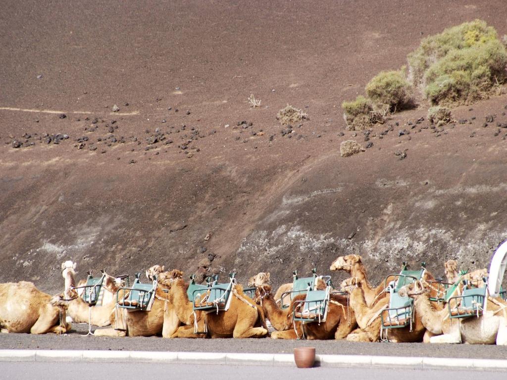 Sandos Papagayo Коста Бланка Экстерьер фото